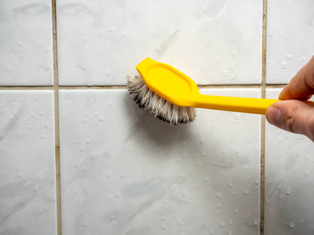 Best Home Mold Removal  in Fruit Heights, UT