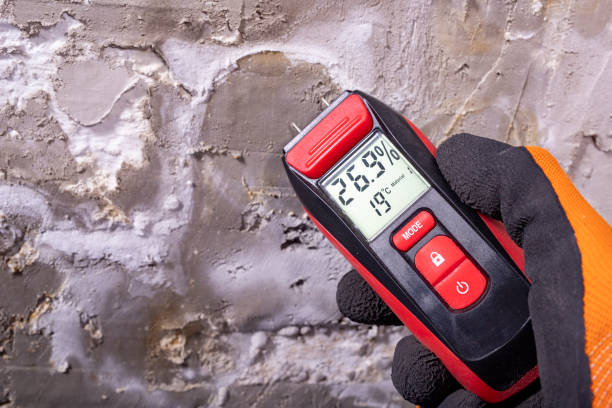 Best Mold Remediation Services  in Fruit Heights, UT